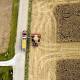 Reports Show Increase in Corn Planting, Adding Volatility to Agriculture Markets 