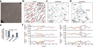 valentina ortega ttl model nude|Valentina Ortega - SMEC - July 2018 - YouTube