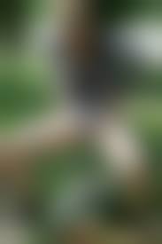 pissing mania.com|Peeing Mania review (PeeingMania)