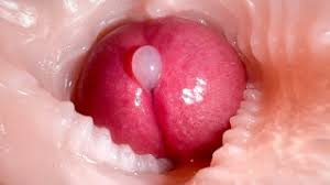 Sperm in pussy jpg x Sperm in pussy