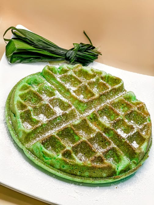 TOMO Noodles & Dumplings by null