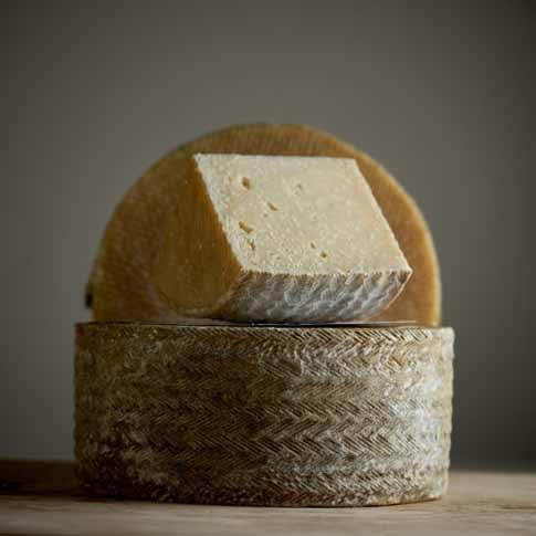 Campbell and Co - Williamsburg by null