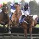 Jockey outed for Ballarat pegs incident 