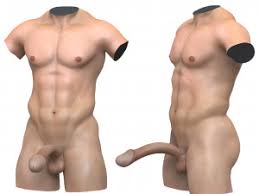 Fantasy man cock with torso model max obj ma lwo stl jpg x 3d fantasy cock