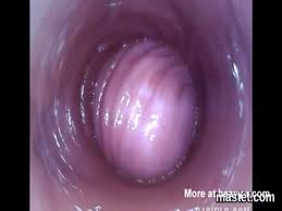 Pussy throbbing cock jpg x Pussy throbbing cock