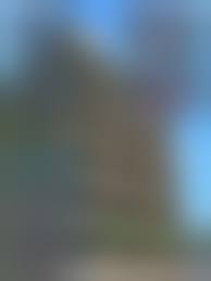 incest 3d pregnancy|Is Abortion Sacred? | The New Yorker