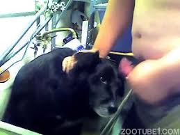 Gaybeast rip men and animals animal sex video with men extrem sex and taboo porn jpg x Men having sex with animals