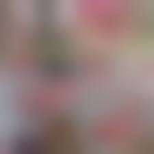 アンスコ　着替え|アップル写真館1992年チアアンスコブルマスク水喰い込み着替え透けトイレセクシーアクションTバックレースクイーンミスコンアイドル美少女の落札情報詳細  - Yahoo!オークション落札価格検索 オークフリー