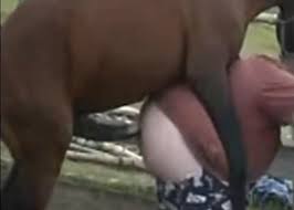 Dr martin luther king day jpg x Gets fucked by horse