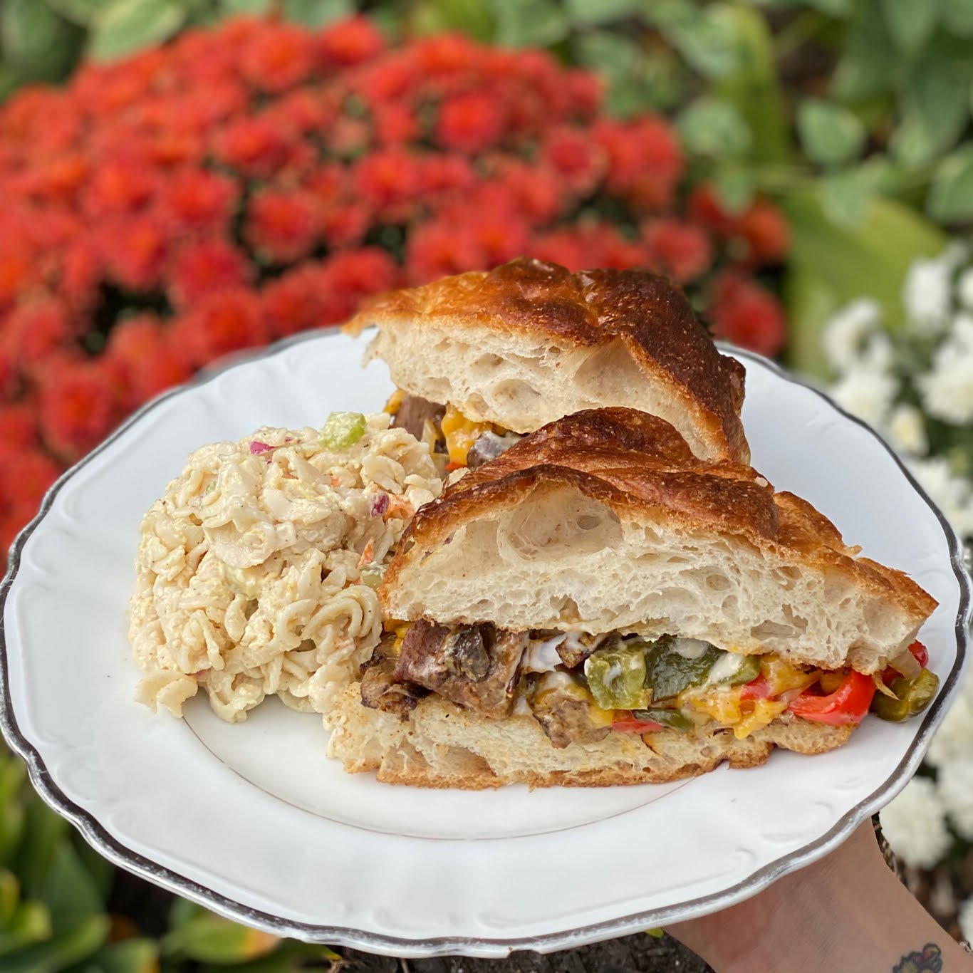 The Red Fern by null