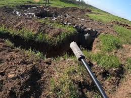 azov  boys  nude|120126: Cesar at his best at Mi Camino Real; his reward? a luscious piece  of Willie's and Bob's birthday cake, or, fruit tort, if you like. The more  the merrier; the merrier