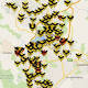 Magpie swooping season has Canberra on alert 