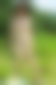 野外露出のんべーの妻|野外露出 画像投稿掲示板 投稿内容