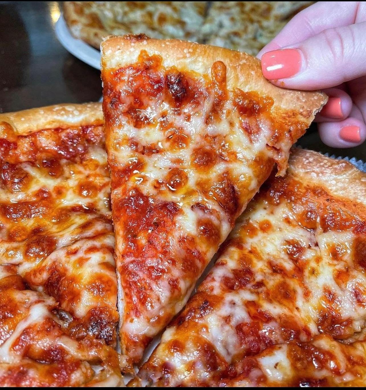 The Pizza Professor by null