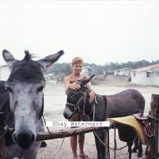 french  family naturist|Best Nude Beaches In France - Sandee