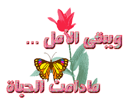 ط®ظ„ظٹط¬ظٹط©