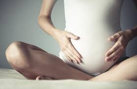 12 teen nude pussy pee|Female reproductive system - Wikipedia