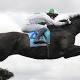 Three To Watch - Ballarat 
