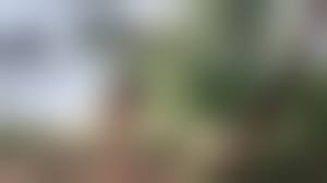 nudist shemale|Porn image of ssbbw shemale photo 30 nude daytime beach created by AI