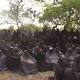 U.S. launches 'manned' intelligence missions over Nigeria to try to locate ...