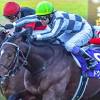 【皐月賞予想】最も速い馬が勝つといわれる牡馬三冠初戦 | 競馬 ...