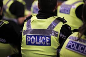 3dcg nude rose gif|俺だけレベルアップな件 イグリッド イラスト | TikTok