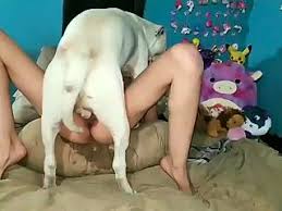 Homemade porn with a woman and her neighbors dog png x Dog and girl