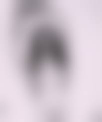 araki nude photo|Nobuyoshi Araki, Tokyo Nude (27), 1989 | Anton Kern Gallery