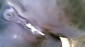 Gay beast com jan mares gay zoo porn petlust men fuck animals jpg x Mare fucking