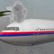 Cyber Anakin targeting Russian website to avenge Air Malaysia MH-17 crash 