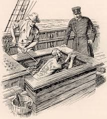 torture|Amazon | The History of Torture | Innes, Brian | Human Rights