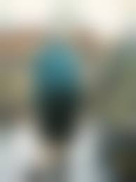 素人変態 tumblr|河原で露出 (2/3) - 露出嫁 | 素人投稿アルバム