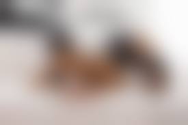 xusenet.com alt.binaries.pictures.erotica.young|The Beautiful Carisha