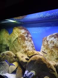 s4.postimg.org Pimpandhost imagesize:768x1024|Debolestis Shapeways shop - Page 5 - PC Hardware and Related Software - ED  Forums