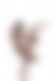 маленькие голые гимнастки |Эротика молодой голой гимнастки – порно фото vChulkah.net