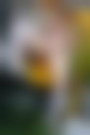 the aiiey galleries pussy|The Black Alley Peggy 20yeargirl Pussy Porn Parody Sex HD Pics