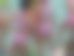 高校総体 女子陸上　ブルマ  お尻|名門強豪高校女子陸上部員のパン線 ハイレグブルマ1人に絞って撮影