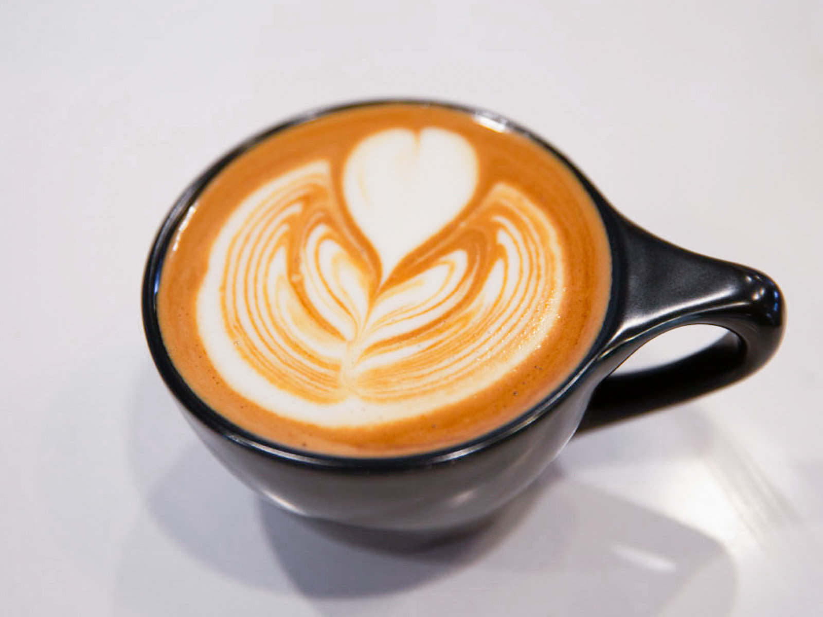 Solid Coffee Roasters - Artesia by null