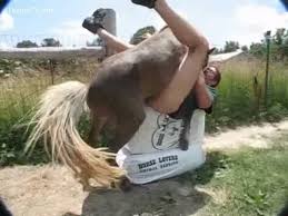 Guys unleash sexual fantasies on horses and ponies jpg x Guy gets fucked by horse