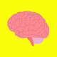 Healthy heart may also mean healthy brain 