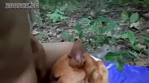 Dog man fucking female husky dog very hard zoophilestracker jpg x Guy fucks dog pussy