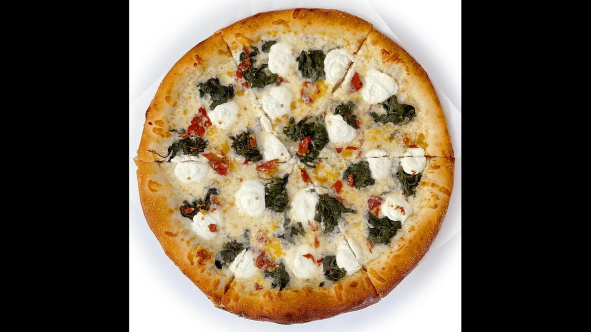 Little Coyote by null