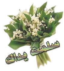 الشروق
