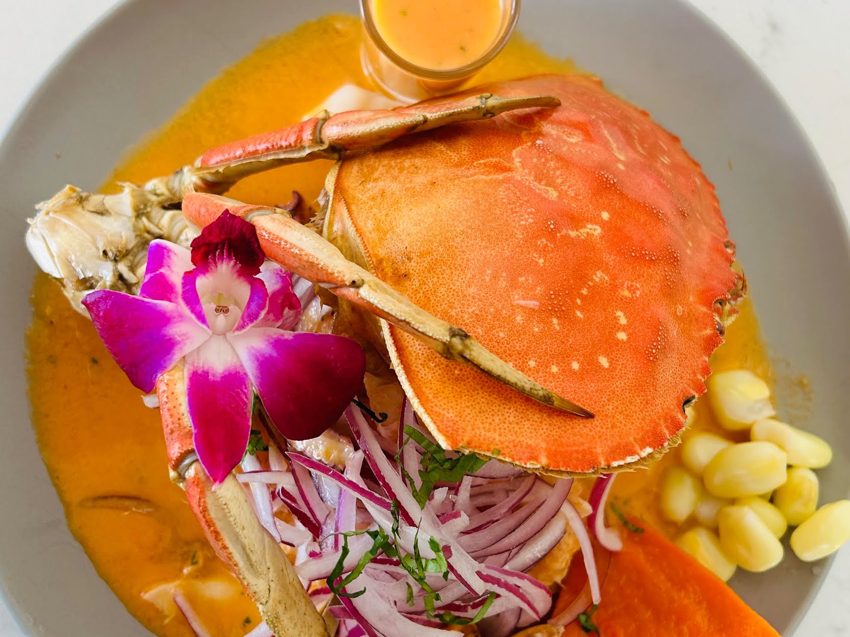 El Rincon de Jorgito by null