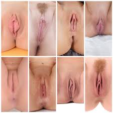 Meet ai mode jpg x Best pussy and