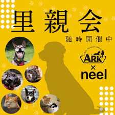 ぽっちゃりまぐろ物産|ギラギラして待っています／25周年記念動画 film1 - YouTube