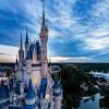 Disney World Damage Assessment