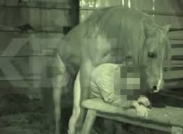 Man fucks horse hot sex with stallions mares and brutal guys and gays jpg x Man fucked by horse