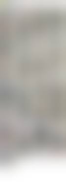 Japanese amateur leaked| / X