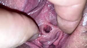 Brunette big pussy jpg x Bbw pussy